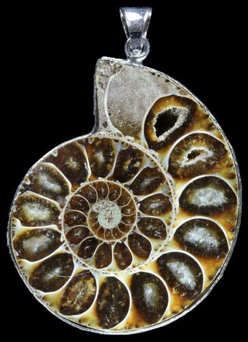 Fossil Ammonite Pendant - Million Years Old #89858